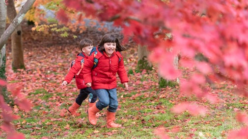 Children enjoying the autumn colour at Bodnant Garden, Conwy